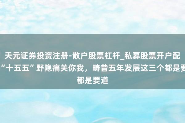 天元证券投资注册-散户股票杠杆_私募股票开户配资 “十五五”野隐痛关你我，畴昔五年发展这三个都是要道