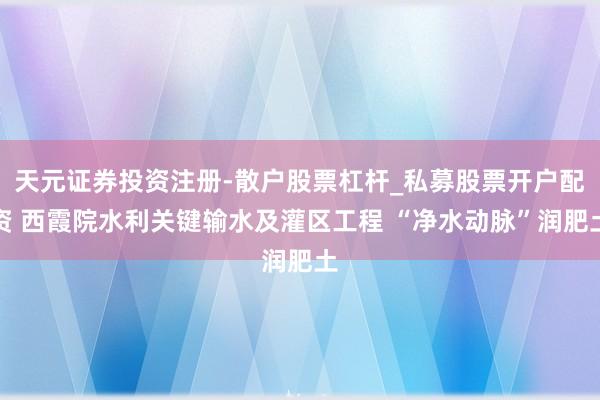 天元证券投资注册-散户股票杠杆_私募股票开户配资 西霞院水利关键输水及灌区工程 “净水动脉”润肥土